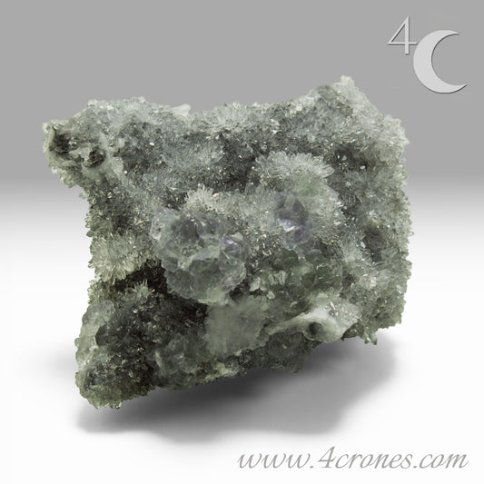 These beautiful green fluorites have enchanting delicate blue-purple phantoms. They are nestled in a dazzling bed of sparkling needle quartz and their subtlety and color shifts under various light sources create the feeling of being on a treasure hunt. Suddenly, another purple-blue phantom fluorite crystal appears amidst the crystal-clear twinkling needle quartz points. To top it off these amazing specimens glow and fluoresce a deep Lavendar under UV light. www.4crones.com