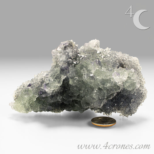 These beautiful green fluorites have enchanting delicate blue-purple phantoms. They are nestled in a dazzling bed of sparkling needle quartz and their subtlety and color shifts under various light sources create the feeling of being on a treasure hunt. Suddenly, another purple-blue phantom fluorite crystal appears amidst the crystal-clear twinkling needle quartz points. To top it off these amazing specimens glow and fluoresce a deep Lavendar under UV light. www.4crones.com