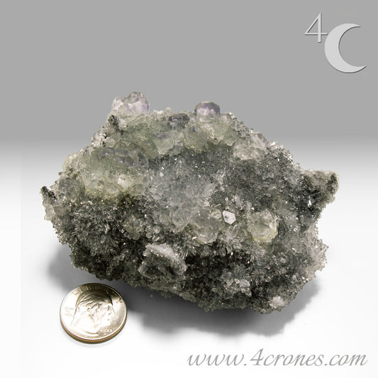These beautiful green fluorites have enchanting delicate blue-purple phantoms. They are nestled in a dazzling bed of sparkling needle quartz and their subtlety and color shifts under various light sources create the feeling of being on a treasure hunt. Suddenly, another purple-blue phantom fluorite crystal appears amidst the crystal-clear twinkling needle quartz points. To top it off these amazing specimens glow and fluoresce a deep Lavendar under UV light. www.4crones.com