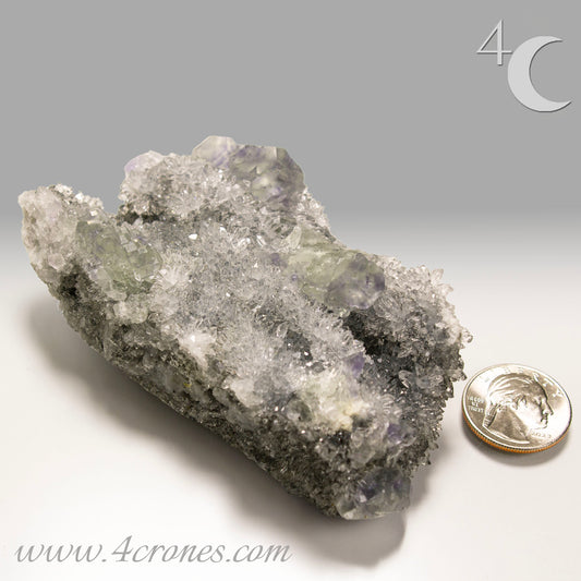 These beautiful green fluorites have enchanting delicate blue-purple phantoms. They are nestled in a dazzling bed of sparkling needle quartz and their subtlety and color shifts under various light sources create the feeling of being on a treasure hunt. Suddenly, another purple-blue phantom fluorite crystal appears amidst the crystal-clear twinkling needle quartz points. To top it off these amazing specimens glow and fluoresce a deep Lavendar under UV light. www.4crones.com