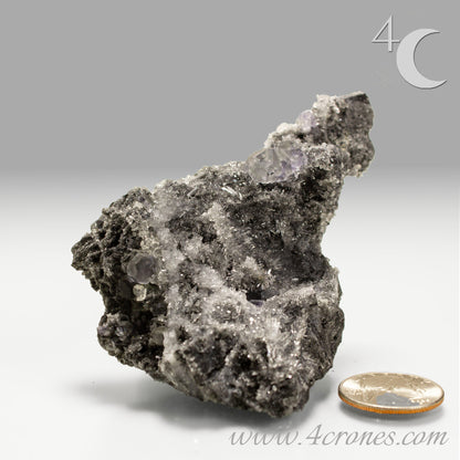 These beautiful green fluorites have enchanting delicate blue-purple phantoms. They are nestled in a dazzling bed of sparkling needle quartz and their subtlety and color shifts under various light sources create the feeling of being on a treasure hunt. Suddenly, another purple-blue phantom fluorite crystal appears amidst the crystal-clear twinkling needle quartz points. To top it off these amazing specimens glow and fluoresce a deep Lavendar under UV light. www.4crones.com