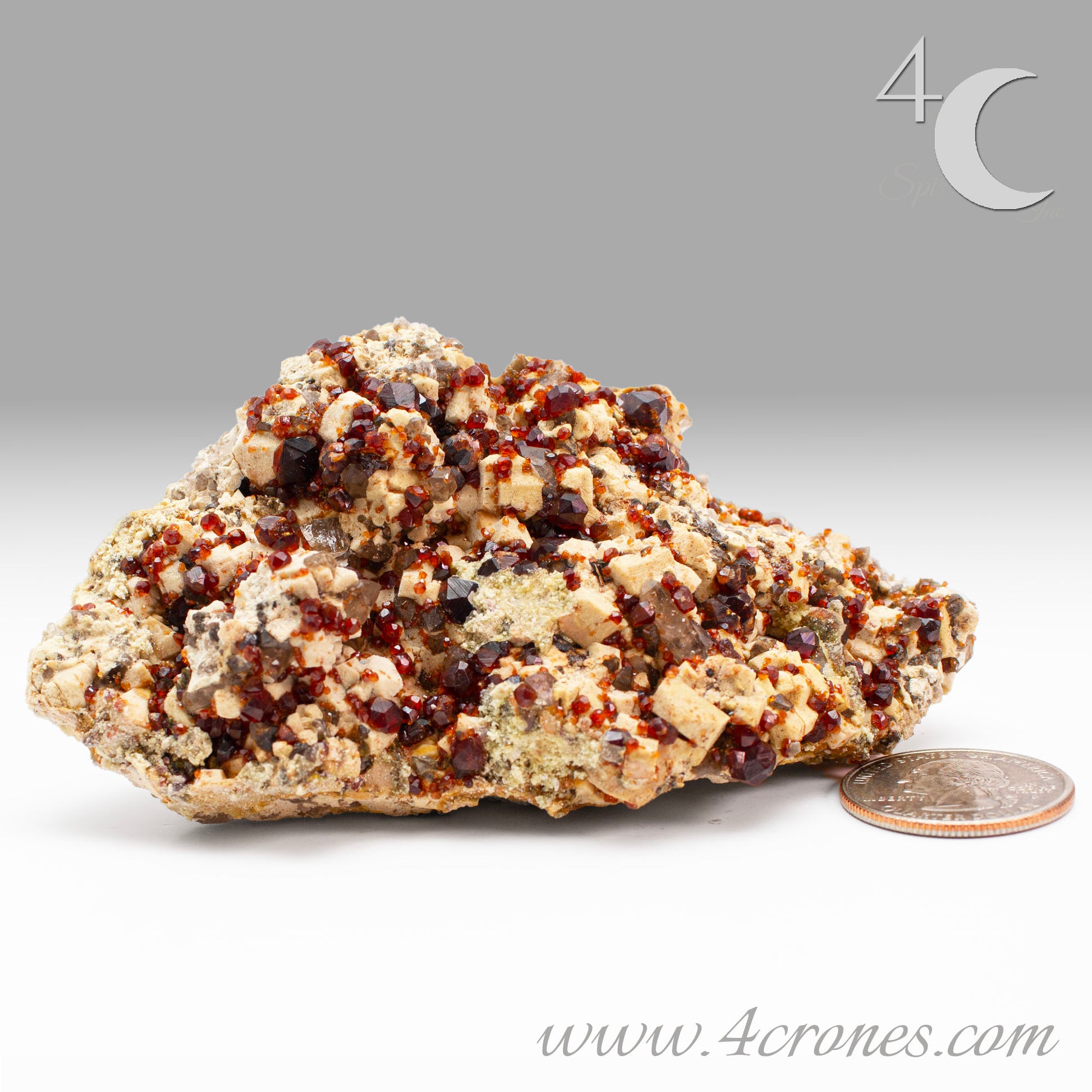 These gemmy Garnets are known as Spessartine Red Garnets, and they encrust and surround beautiful Smoky Quartz crystals on microcline feldspar matrices.  The mine these specimens come from is known for the beautiful blingy red- and orange-colored garnets that they yield. www.4crones.com