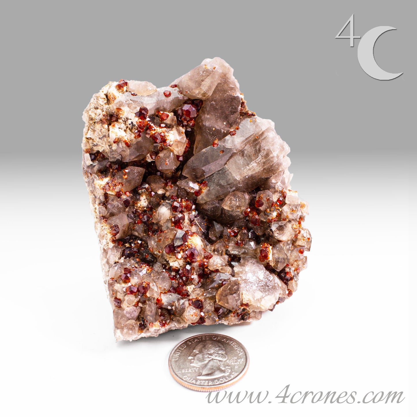 These gemmy Garnets are known as Spessartine Red Garnets, and they encrust and surround beautiful Smoky Quartz crystals on microcline feldspar matrices.  The mine these specimens come from is known for the beautiful blingy red- and orange-colored garnets that they yield. www.4crones.com