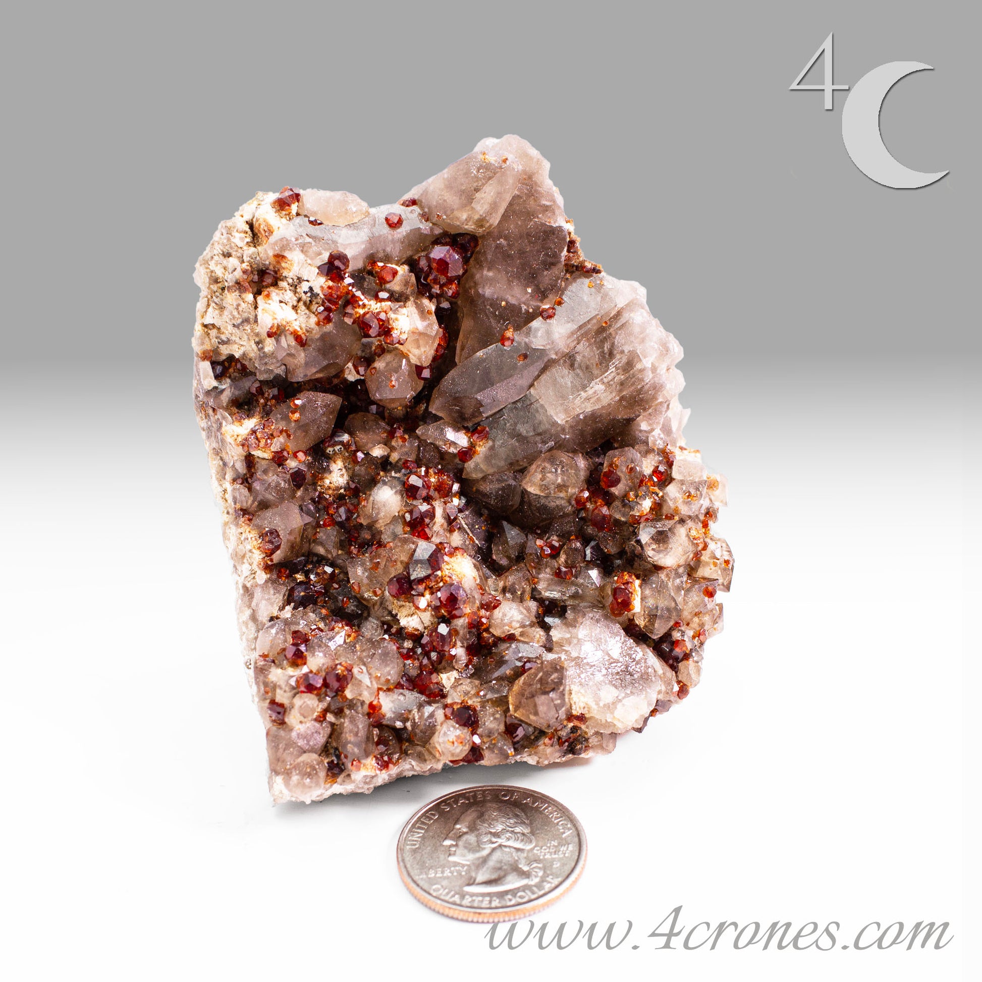 These gemmy Garnets are known as Spessartine Red Garnets, and they encrust and surround beautiful Smoky Quartz crystals on microcline feldspar matrices.  The mine these specimens come from is known for the beautiful blingy red- and orange-colored garnets that they yield. www.4crones.com