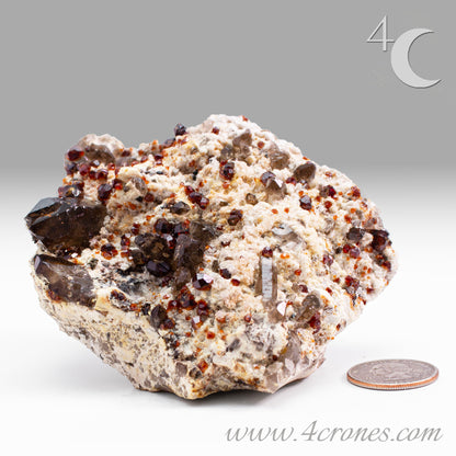 These gemmy Garnets are known as Spessartine Red Garnets, and they encrust and surround beautiful Smoky Quartz crystals on microcline feldspar matrices.  The mine these specimens come from is known for the beautiful blingy red- and orange-colored garnets that they yield. www.4crones.com