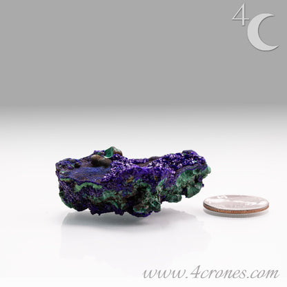 4 Crones Azurite-Malachite specimens are so luscious, with spectacular gemmy azurite crystals showing off the heavenly deep blue colors they are renowned for. They can be found in combination with Malachite acting as a “matrix” of sorts. Azurite is often found in nature mixed with Malachite. With more water content Azurite becomes Malachite. We think of them as siblings whose differing energies complement each other:) www.4crones.com