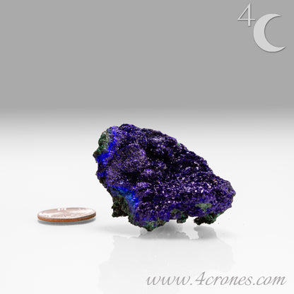 4 Crones Azurite-Malachite specimens are so luscious, with spectacular gemmy azurite crystals showing off the heavenly deep blue colors they are renowned for. They can be found in combination with Malachite acting as a “matrix” of sorts. Azurite is often found in nature mixed with Malachite. With more water content Azurite becomes Malachite. We think of them as siblings whose differing energies complement each other:)  www.4crones.com