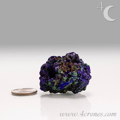4 Crones Azurite-Malachite specimens are so luscious, with spectacular gemmy azurite crystals showing off the heavenly deep blue colors they are renowned for. They can be found in combination with Malachite acting as a “matrix” of sorts. Azurite is often found in nature mixed with Malachite. With more water content Azurite becomes Malachite. We think of them as siblings whose differing energies complement each other:) www.4crones.com