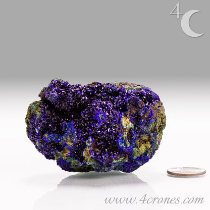 4 Crones Azurite-Malachite specimens are so luscious, with spectacular gemmy azurite crystals showing off the heavenly deep blue colors they are renowned for. They can be found in combination with Malachite acting as a “matrix” of sorts. Azurite is often found in nature mixed with Malachite. With more water content Azurite becomes Malachite. We think of them as siblings whose differing energies complement each other:)  www.4crones.com