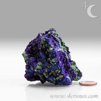 4 Crones Azurite-Malachite specimens are so luscious, with spectacular gemmy azurite crystals showing off the heavenly deep blue colors they are renowned for. They can be found in combination with Malachite acting as a “matrix” of sorts. Azurite is often found in nature mixed with Malachite. With more water content Azurite becomes Malachite. We think of them as siblings whose differing energies complement each other:)  www.4crones.com