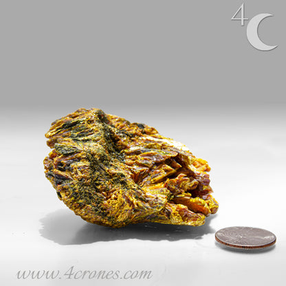 Golden orpiment crystal on matrix, collector mineral specimen 1719E