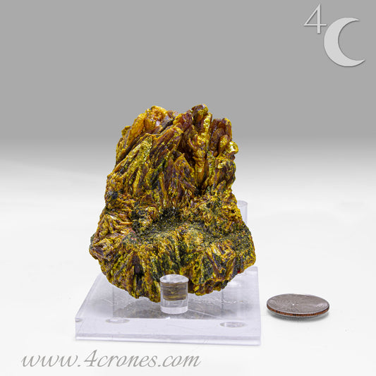 Orpiment mineral on matrix, front view