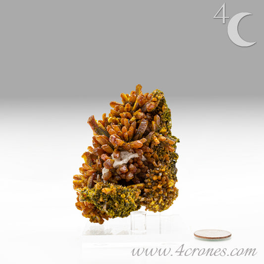 Golden orpiment crystal on natural matrix, collector mineral specimen 2436B