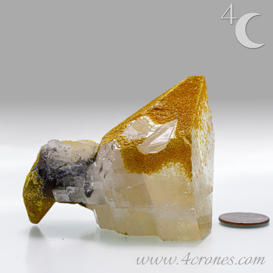 Orpiment mineral with layered golden formation on matrix, side view