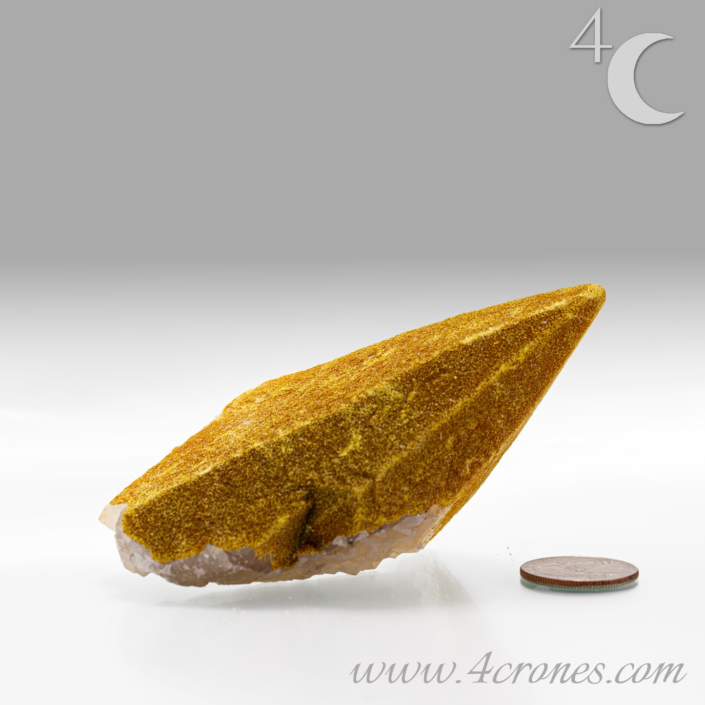 Gold Orpiment encrusted stone with a coin for scale on a gray background, featuring the 4Crones website.