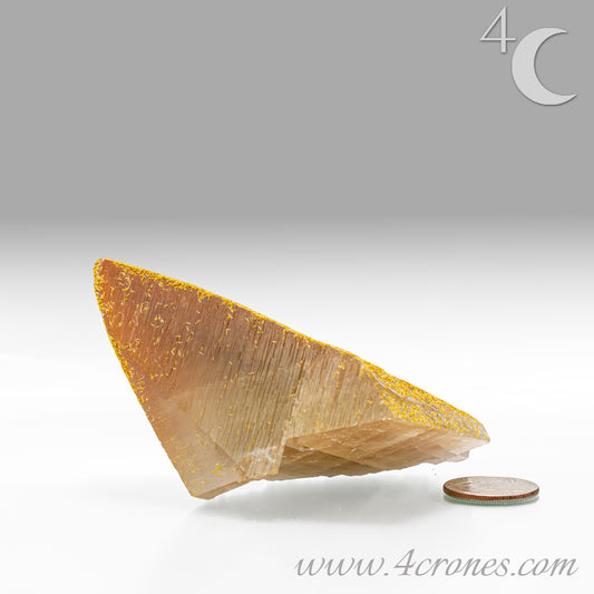Golden Orpiment crystal with coin for scale on a gray background, featuring the brand '4 Crones'.