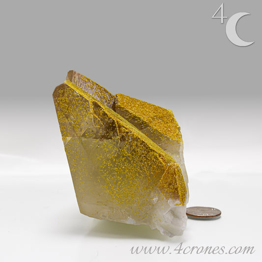 Orpiment mineral with layered golden formation on light matrix, side view