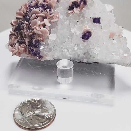 This exquisite specimen presents a rare and visually captivating combination: soft pink Rhodochrosite rosettes bloom across a sparkling bed of Quartz crystals, punctuated by sharply defined purple Fluorite cubes—some with phantom or window-like zoning. 