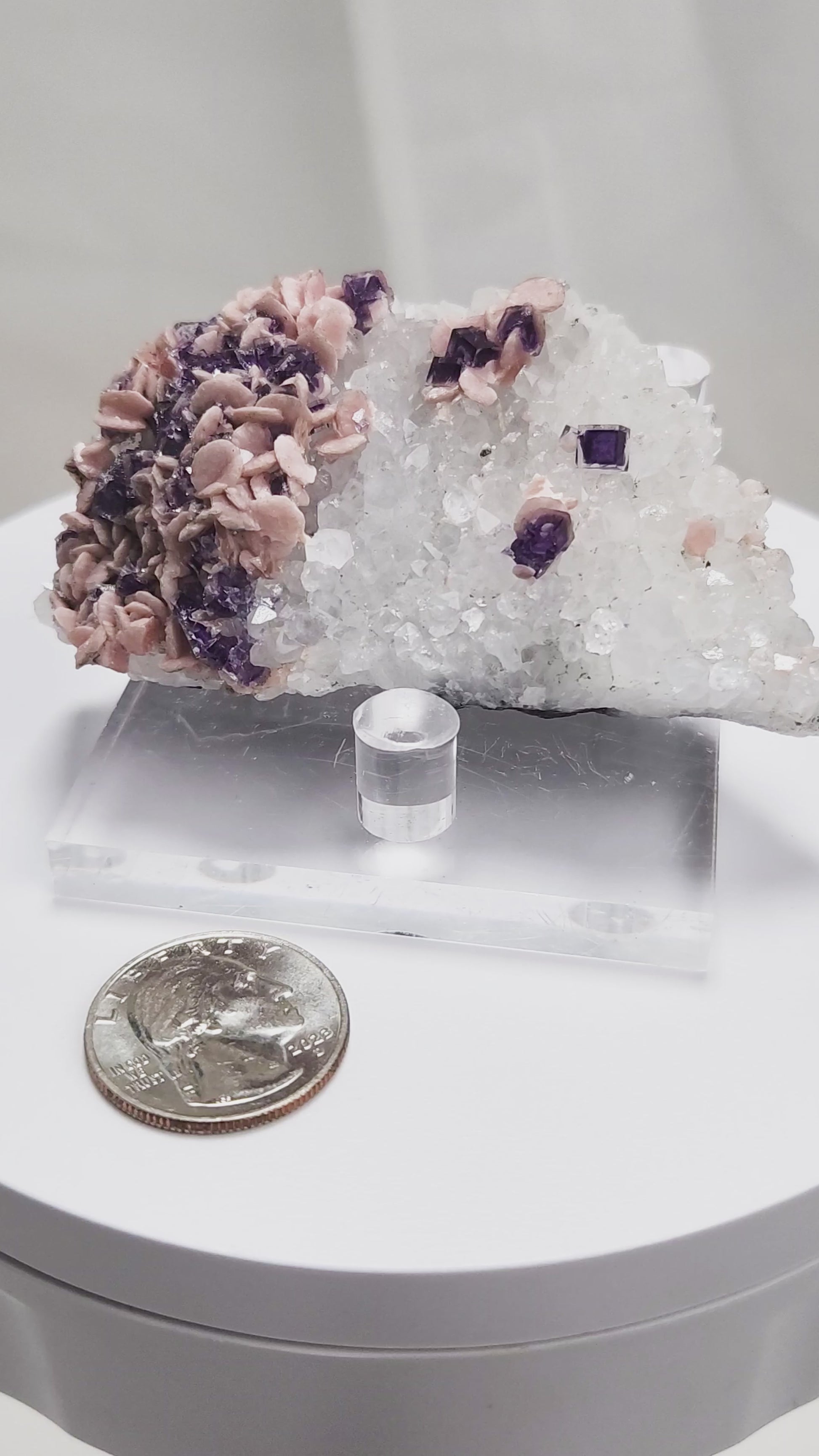 This exquisite specimen presents a rare and visually captivating combination: soft pink Rhodochrosite rosettes bloom across a sparkling bed of Quartz crystals, punctuated by sharply defined purple Fluorite cubes—some with phantom or window-like zoning. 