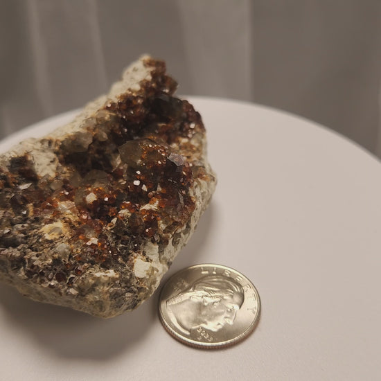 These gemmy Garnets are known as Spessartine Red Garnets, and they encrust and surround beautiful Smoky Quartz crystals on microcline feldspar matrices.  The mine these specimens come from is known for the beautiful blingy red- and orange-colored garnets that they yield.