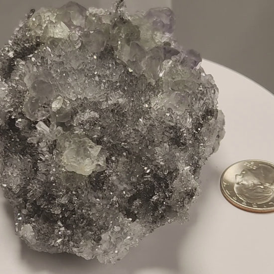 These beautiful green fluorites have enchanting delicate blue-purple phantoms. They are nestled in a dazzling bed of sparkling needle quartz and their subtlety and color shifts under various light sources create the feeling of being on a treasure hunt. Suddenly, another purple-blue phantom fluorite crystal appears amidst the crystal-clear twinkling needle quartz points. To top it off these amazing specimens glow and fluoresce a deep Lavendar under UV light. www.4crones.com