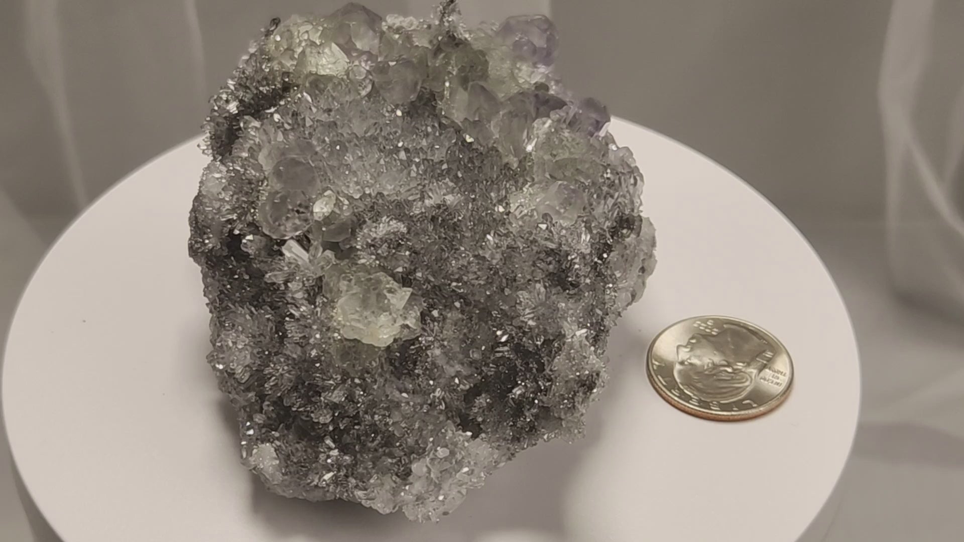 These beautiful green fluorites have enchanting delicate blue-purple phantoms. They are nestled in a dazzling bed of sparkling needle quartz and their subtlety and color shifts under various light sources create the feeling of being on a treasure hunt. Suddenly, another purple-blue phantom fluorite crystal appears amidst the crystal-clear twinkling needle quartz points. To top it off these amazing specimens glow and fluoresce a deep Lavendar under UV light. www.4crones.com