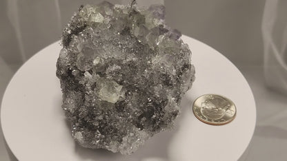 These beautiful green fluorites have enchanting delicate blue-purple phantoms. They are nestled in a dazzling bed of sparkling needle quartz and their subtlety and color shifts under various light sources create the feeling of being on a treasure hunt. Suddenly, another purple-blue phantom fluorite crystal appears amidst the crystal-clear twinkling needle quartz points. To top it off these amazing specimens glow and fluoresce a deep Lavendar under UV light. www.4crones.com