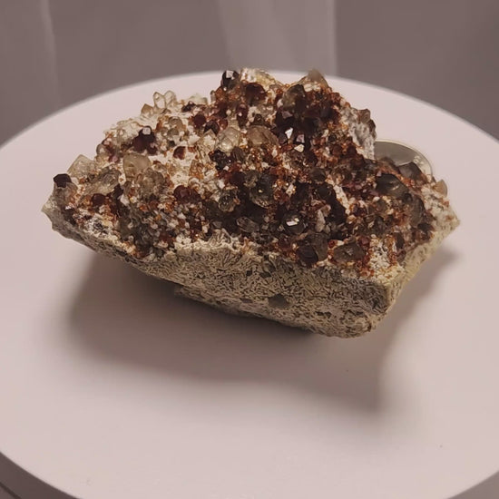 These gemmy Garnets are known as Spessartine Red Garnets, and they encrust and surround beautiful Smoky Quartz crystals on microcline feldspar matrices.  The mine these specimens come from is known for the beautiful blingy red- and orange-colored garnets that they yield. www.4crones.com