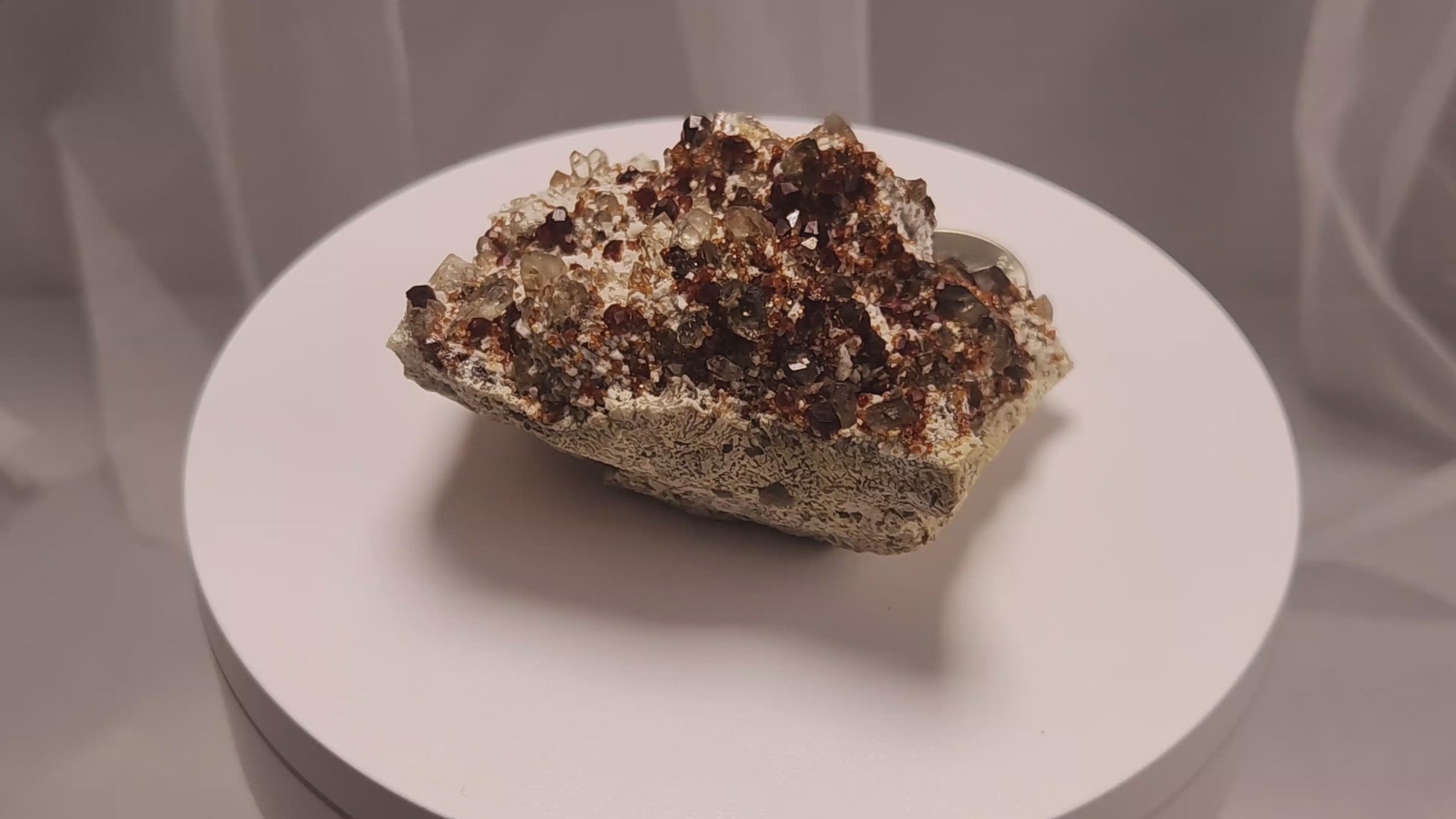 These gemmy Garnets are known as Spessartine Red Garnets, and they encrust and surround beautiful Smoky Quartz crystals on microcline feldspar matrices.  The mine these specimens come from is known for the beautiful blingy red- and orange-colored garnets that they yield. www.4crones.com