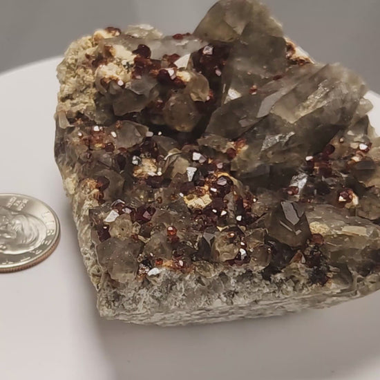These gemmy Garnets are known as Spessartine Red Garnets, and they encrust and surround beautiful Smoky Quartz crystals on microcline feldspar matrices.  The mine these specimens come from is known for the beautiful blingy red- and orange-colored garnets that they yield. www.4crones.com