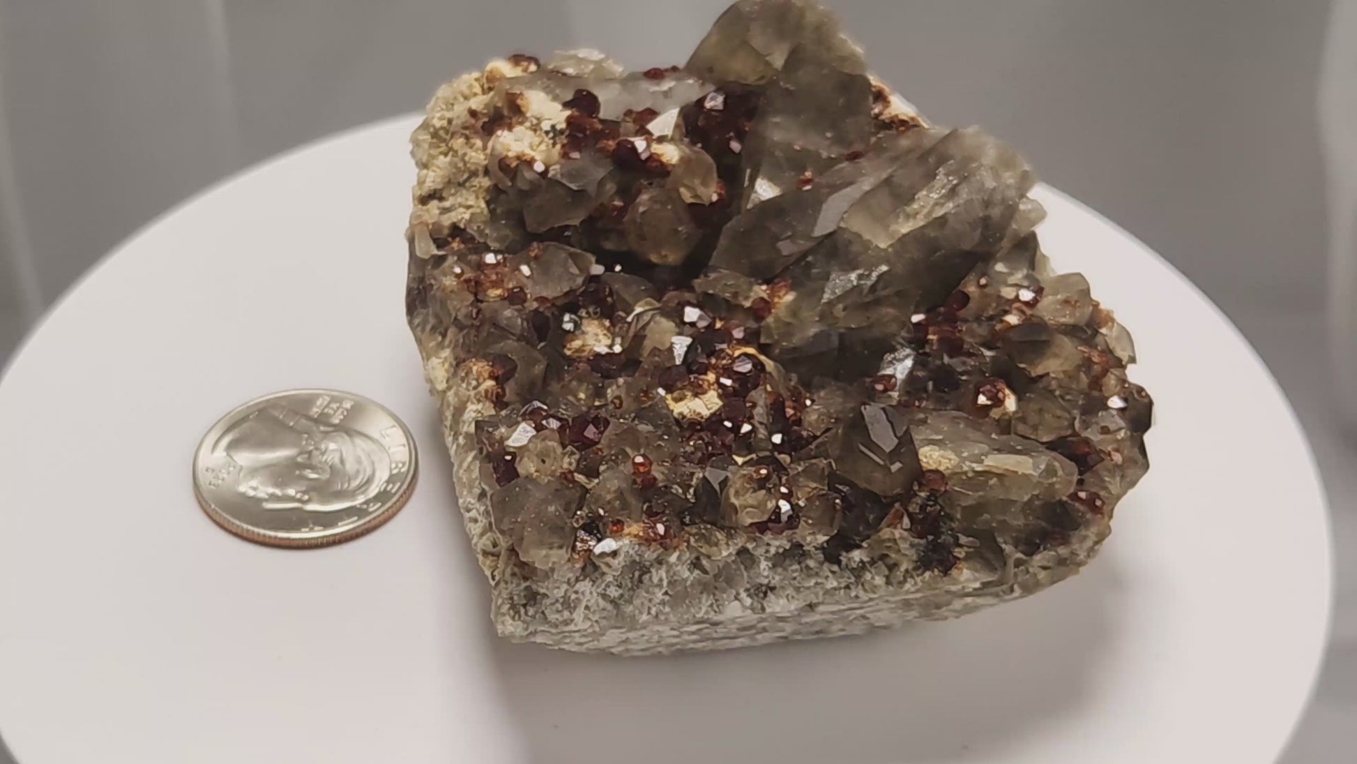 These gemmy Garnets are known as Spessartine Red Garnets, and they encrust and surround beautiful Smoky Quartz crystals on microcline feldspar matrices.  The mine these specimens come from is known for the beautiful blingy red- and orange-colored garnets that they yield. www.4crones.com
