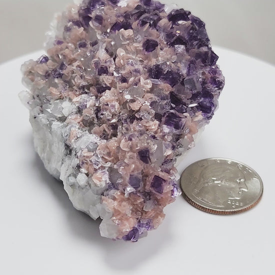 This exquisite specimen presents a rare and visually captivating combination: soft pink Rhodochrosite rosettes bloom across a sparkling bed of Quartz crystals, punctuated by sharply defined purple Fluorite cubes—some with phantom or window-like zoning. 