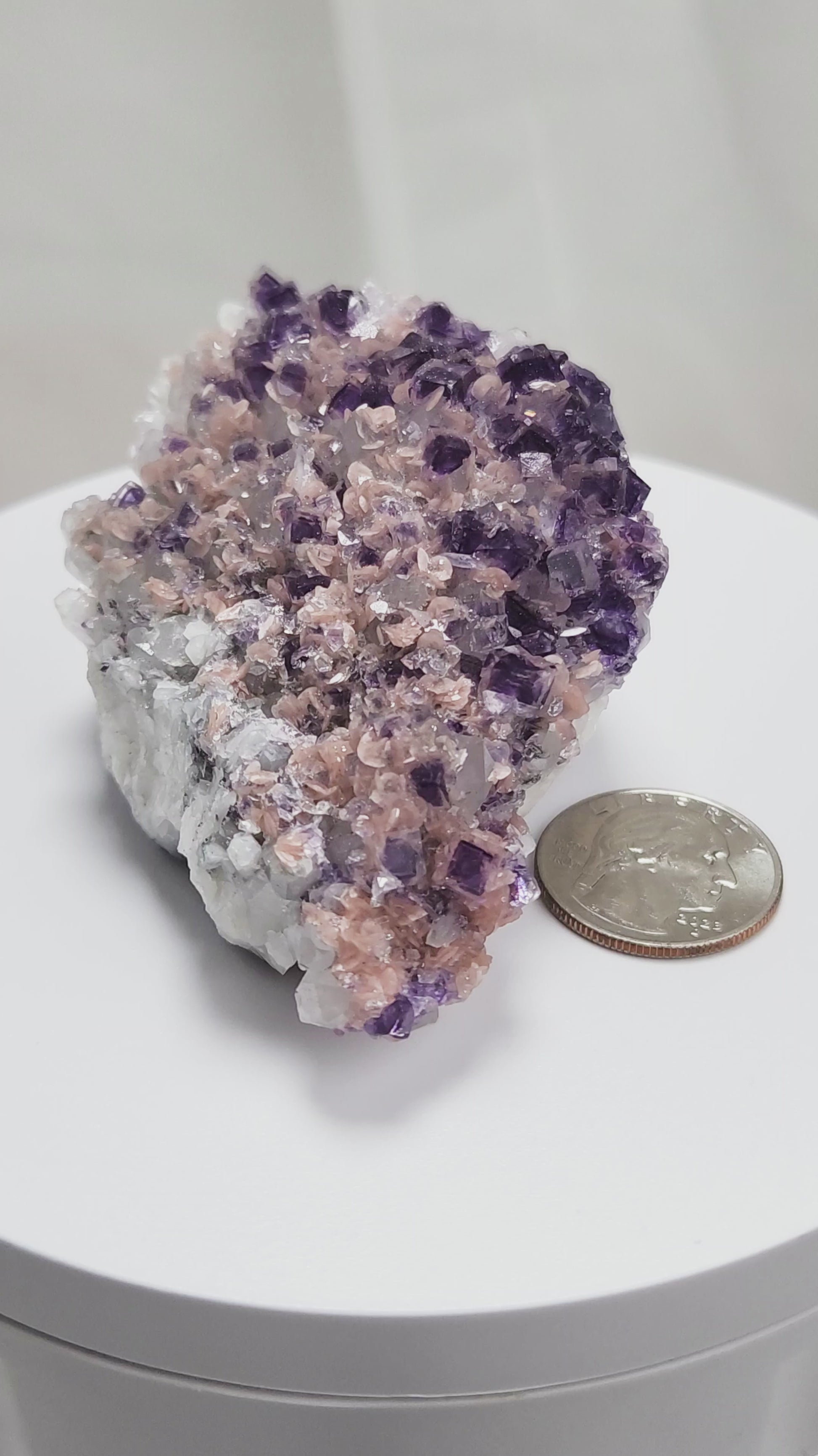 This exquisite specimen presents a rare and visually captivating combination: soft pink Rhodochrosite rosettes bloom across a sparkling bed of Quartz crystals, punctuated by sharply defined purple Fluorite cubes—some with phantom or window-like zoning. 
