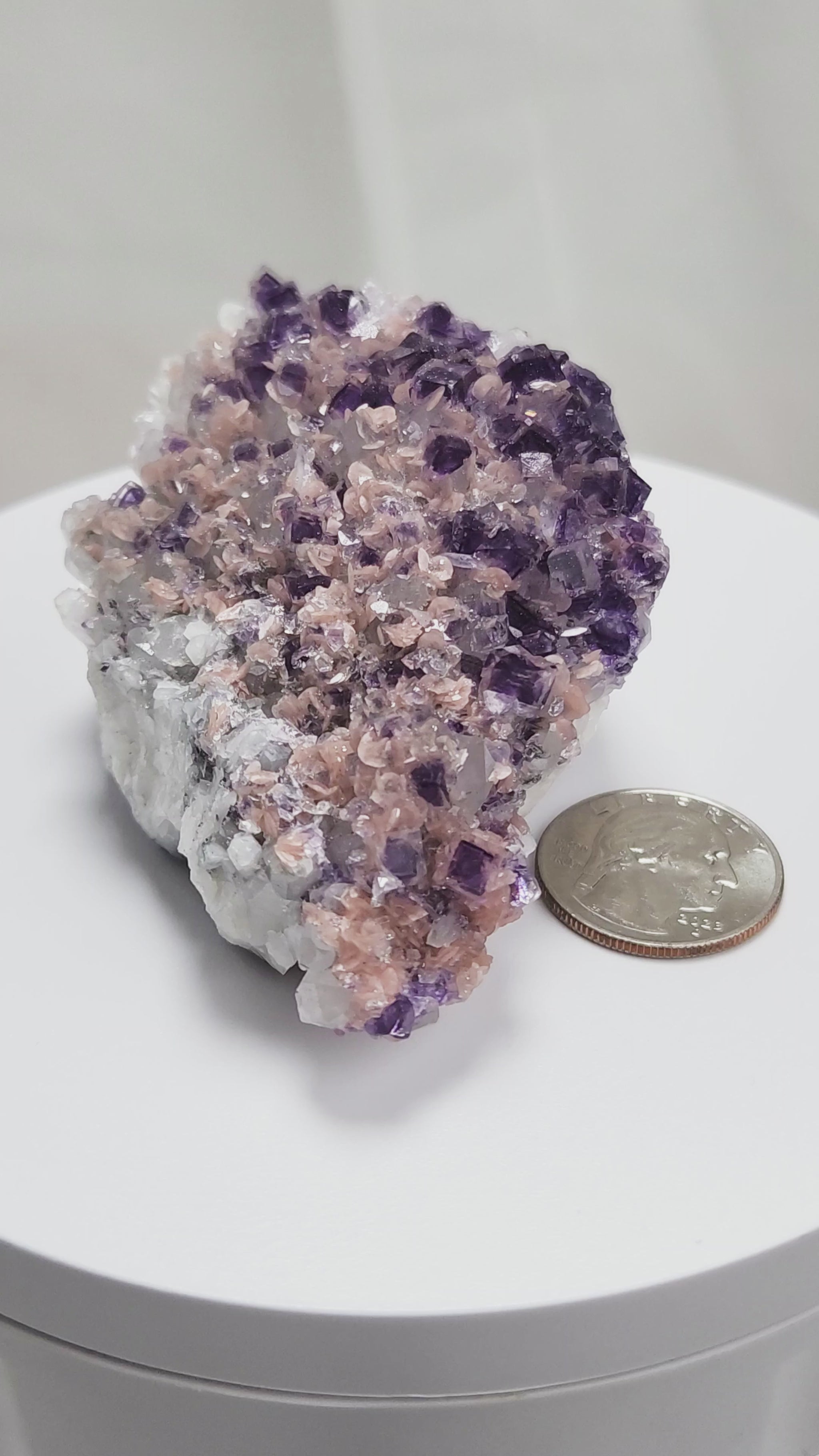 This exquisite specimen presents a rare and visually captivating combination: soft pink Rhodochrosite rosettes bloom across a sparkling bed of Quartz crystals, punctuated by sharply defined purple Fluorite cubes—some with phantom or window-like zoning. 