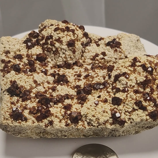 These gemmy Garnets are known as Spessartine Red Garnets, and they encrust and surround beautiful Smoky Quartz crystals on microcline feldspar matrices.  The mine these specimens come from is known for the beautiful blingy red- and orange-colored garnets that they yield. www.4crones.com