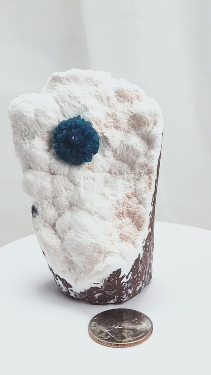Cavansite is a rare calcium vanadium silicate mineral prized for its vivid blue color and rosette-like crystal formations