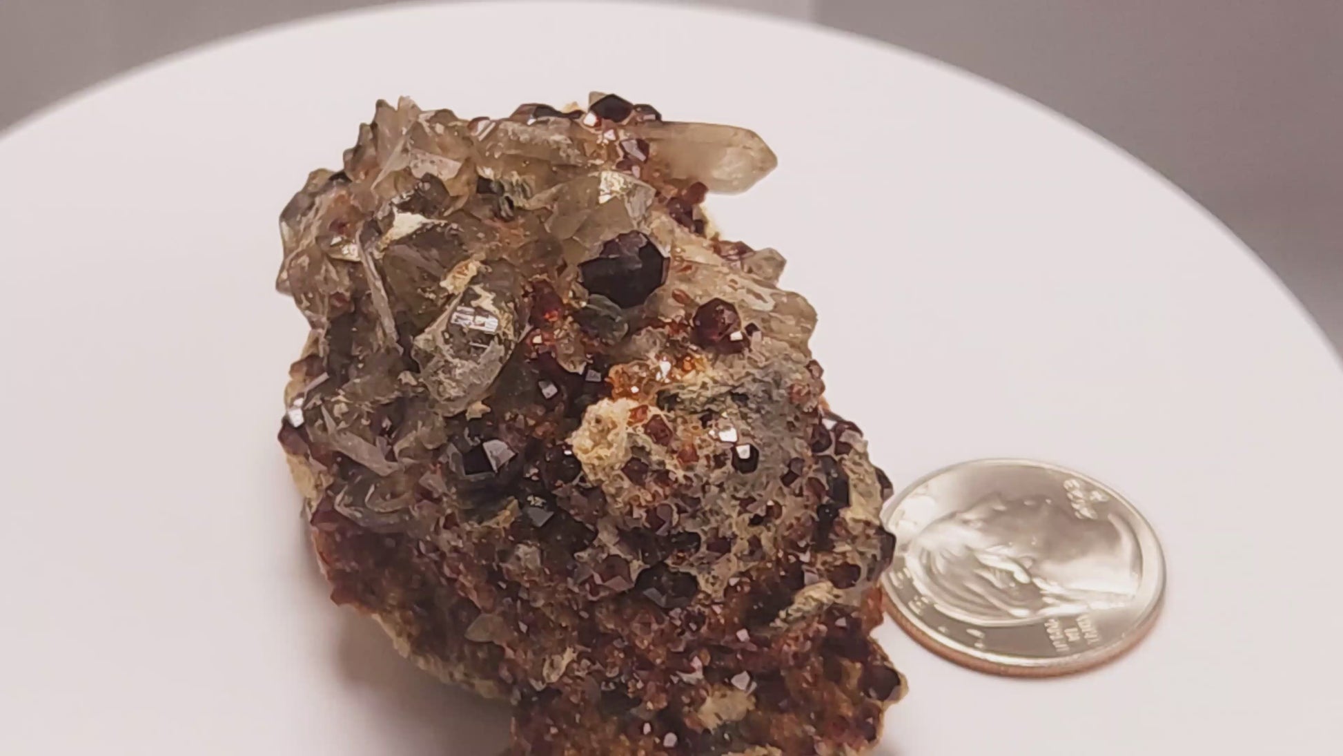 These gemmy Garnets are known as Spessartine Red Garnets, and they encrust and surround beautiful Smoky Quartz crystals on microcline feldspar matrices.  The mine these specimens come from is known for the beautiful blingy red- and orange-colored garnets that they yield. www.4crones.com