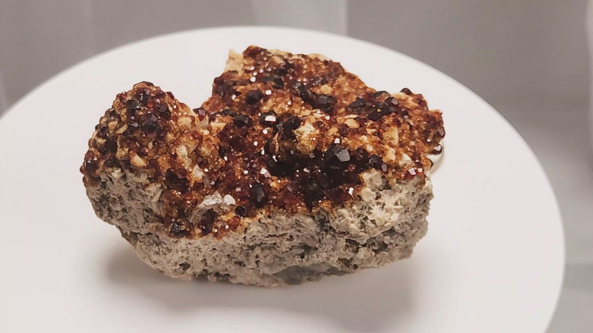 These gemmy Garnets are known as Spessartine Red Garnets, and they encrust and surround beautiful Smoky Quartz crystals on microcline feldspar matrices.  The mine these specimens come from is known for the beautiful blingy red- and orange-colored garnets that they yield. www.4crones.com