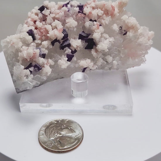 This complex and texturally rich specimen features a matrix of clear Quartz crystals scattered with pastel Rhodochrosite, sharp Purple Fluorite cubes, and creamy Dolomite crystals. 