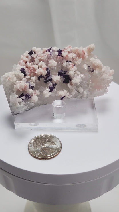 This complex and texturally rich specimen features a matrix of clear Quartz crystals scattered with pastel Rhodochrosite, sharp Purple Fluorite cubes, and creamy Dolomite crystals. 