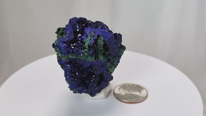 4 Crones Azurite-Malachite specimens are so luscious, with spectacular gemmy azurite crystals showing off the heavenly deep blue colors they are renowned for. They can be found in combination with Malachite acting as a “matrix” of sorts. Azurite is often found in nature mixed with Malachite. With more water content Azurite becomes Malachite. We think of them as siblings whose differing energies complement each other:) www.4crones.com