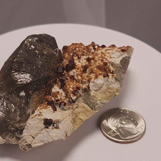 These gemmy Garnets are known as Spessartine Red Garnets, and they encrust and surround beautiful Smoky Quartz crystals on microcline feldspar matrices.  The mine these specimens come from is known for the beautiful blingy red- and orange-colored garnets that they yield. www.4cones.com