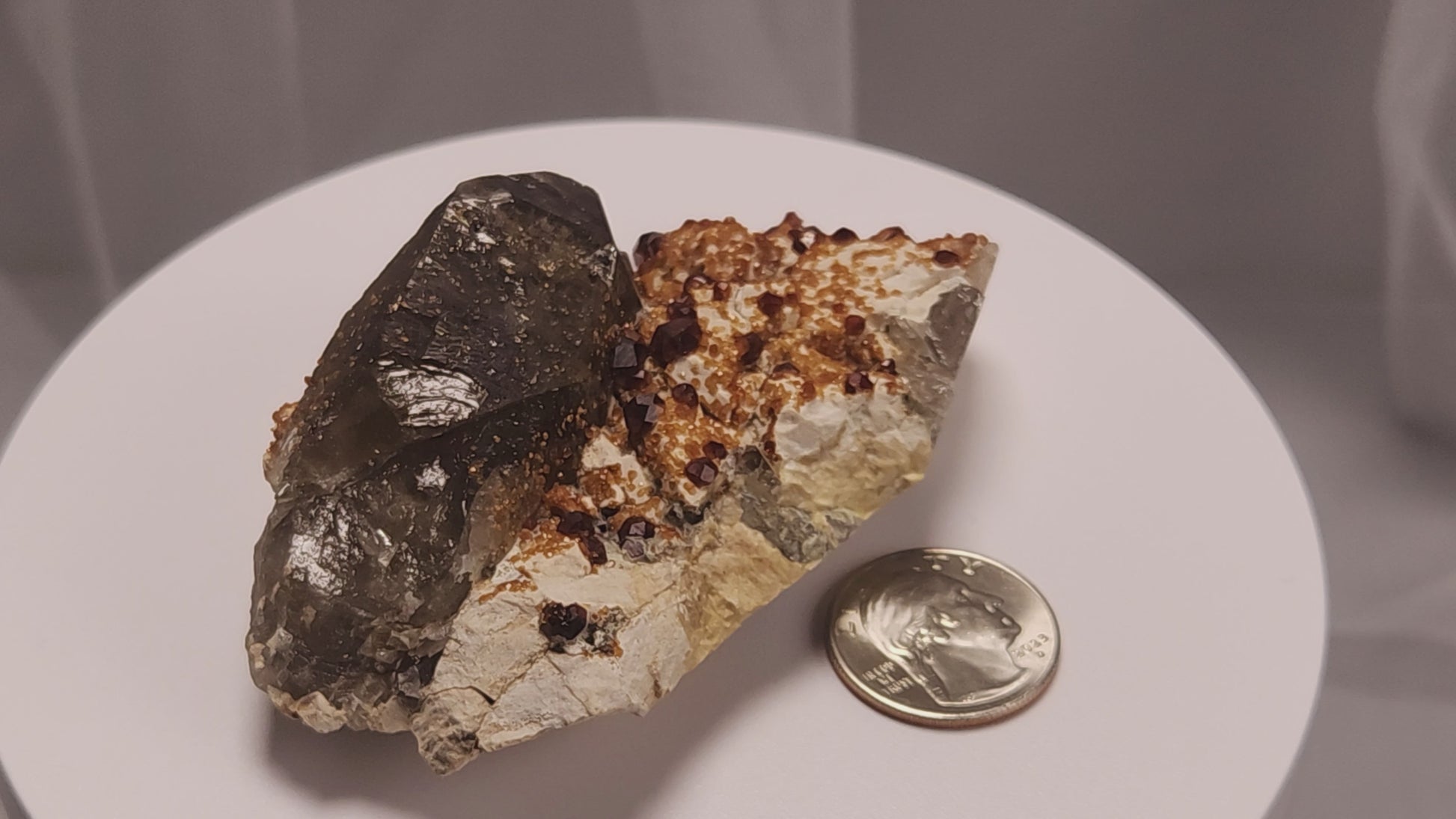 These gemmy Garnets are known as Spessartine Red Garnets, and they encrust and surround beautiful Smoky Quartz crystals on microcline feldspar matrices.  The mine these specimens come from is known for the beautiful blingy red- and orange-colored garnets that they yield. www.4cones.com