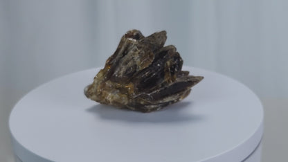 Metaphysically, Amber Calcite radiates vitality, optimism, and grounding warmth. Its energy cleanses spaces, amplifies intentions, and supports confidence, motivation, and clarity