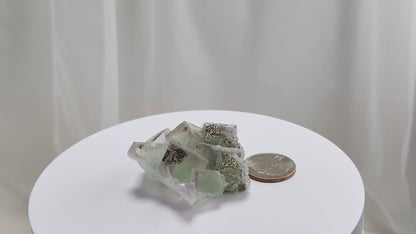 Fluorite & Pyrite beautiful lavender and soft green. This unique specimen of fluorite shimmers in soft bands of lavender and green, a natural harmony of color and energy. Composed of calcium fluoride, fluorite is valued for its cubic crystal formation and its ability to bring mental clarity and energetic alignment.