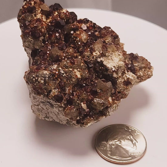 These gemmy Garnets are known as Spessartine Red Garnets, and they encrust and surround beautiful Smoky Quartz crystals on microcline feldspar matrices.  The mine these specimens come from is known for the beautiful blingy red- and orange-colored garnets that they yield. www.4crones.com