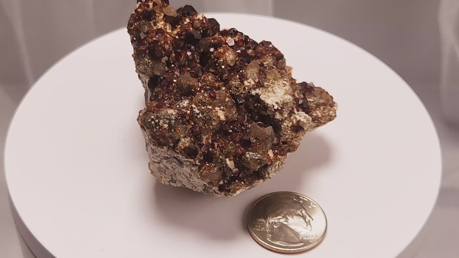 These gemmy Garnets are known as Spessartine Red Garnets, and they encrust and surround beautiful Smoky Quartz crystals on microcline feldspar matrices.  The mine these specimens come from is known for the beautiful blingy red- and orange-colored garnets that they yield. www.4crones.com