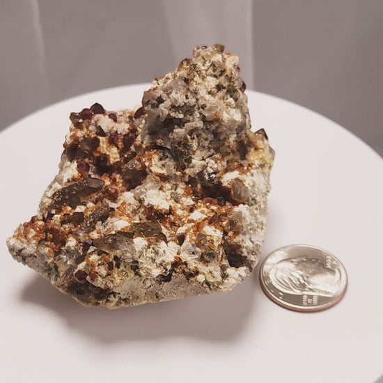 These gemmy Garnets are known as Spessartine Red Garnets, and they encrust and surround beautiful Smoky Quartz crystals on microcline feldspar matrices.  The mine these specimens come from is known for the beautiful blingy red- and orange-colored garnets that they yield. www.4crones.com