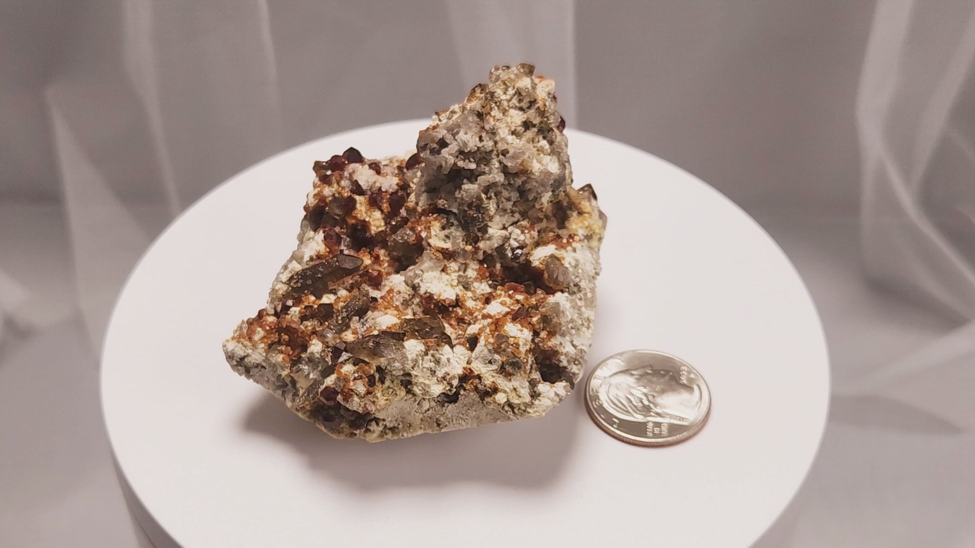 These gemmy Garnets are known as Spessartine Red Garnets, and they encrust and surround beautiful Smoky Quartz crystals on microcline feldspar matrices.  The mine these specimens come from is known for the beautiful blingy red- and orange-colored garnets that they yield. www.4crones.com