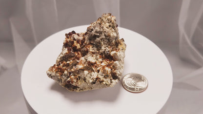 These gemmy Garnets are known as Spessartine Red Garnets, and they encrust and surround beautiful Smoky Quartz crystals on microcline feldspar matrices.  The mine these specimens come from is known for the beautiful blingy red- and orange-colored garnets that they yield. www.4crones.com